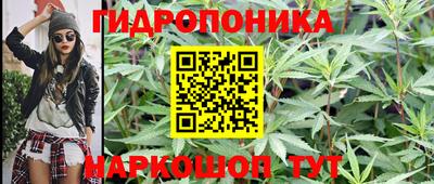 меф Кандалакша
