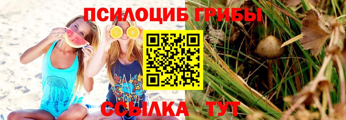 Псилоцибиновые грибы ЛСД Кузнецк